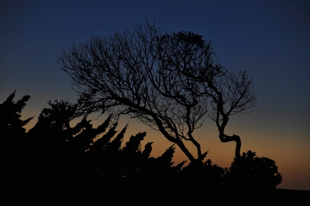 Morro Bay sunset